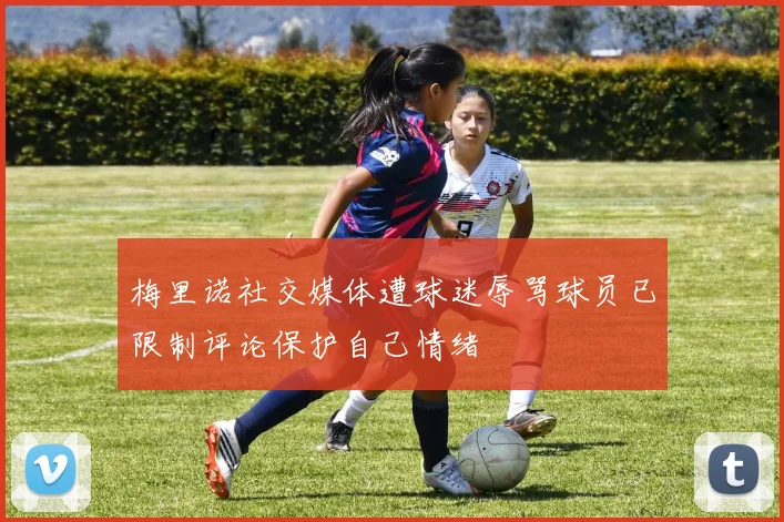 梅里诺社交媒体遭球迷辱骂球员已限制评论保护自己情绪