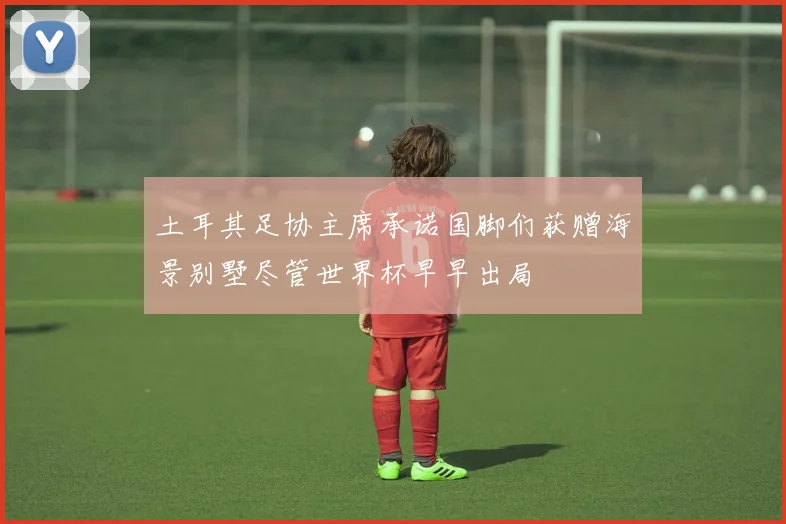 土耳其足协主席承诺国脚们获赠海景别墅尽管世界杯早早出局