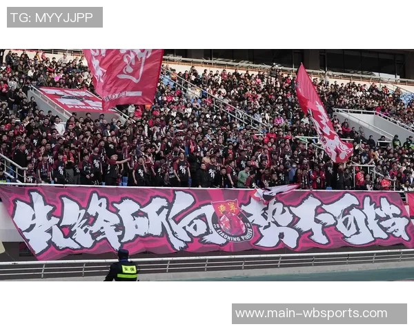 致敬石家庄铁人球迷你们与我们共度风雨携手并肩永远是最棒的第十二人